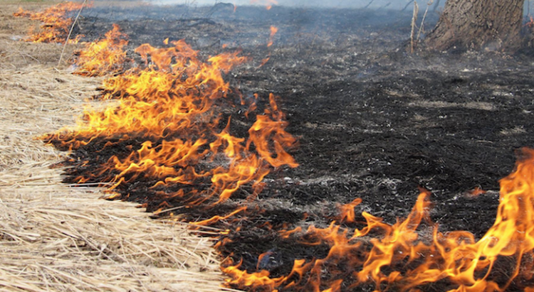 Пожар избухна над кварталите Изток и Левски над Вършец Сигналът за огъня