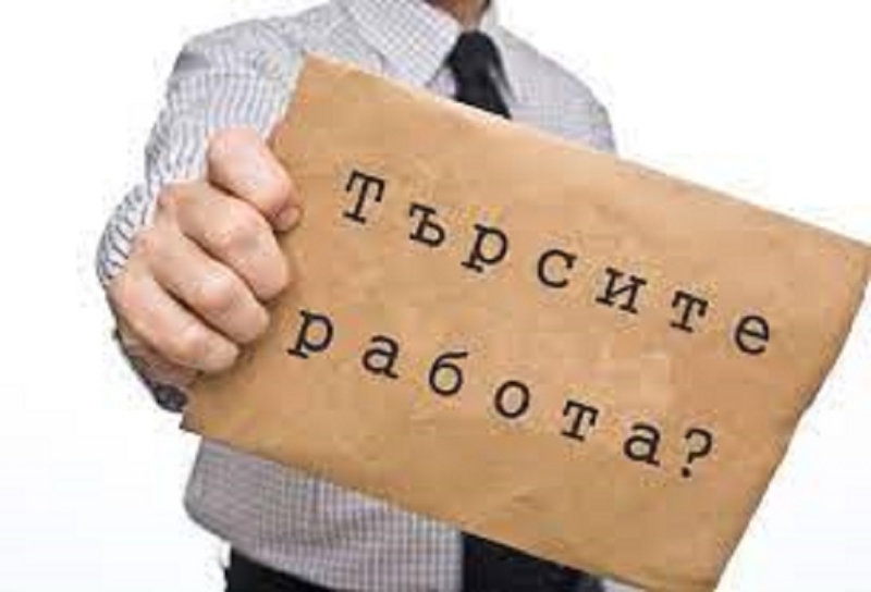 Агенцията по заетостта пусна всички свободни позиции в Област Видин