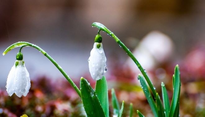 През нощта и утре облачността ще е значителна но само