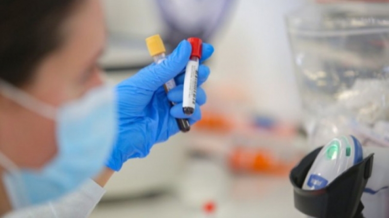 През изминалото денонощие на територията на област Враца са регистрирани