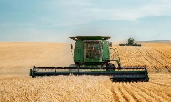 Производители отчитат по-добра реколта на пшеница и ечемик в област Монтана