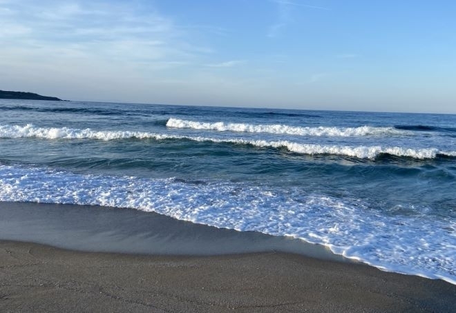 Водата в Черно море е с най добри показатели от последните