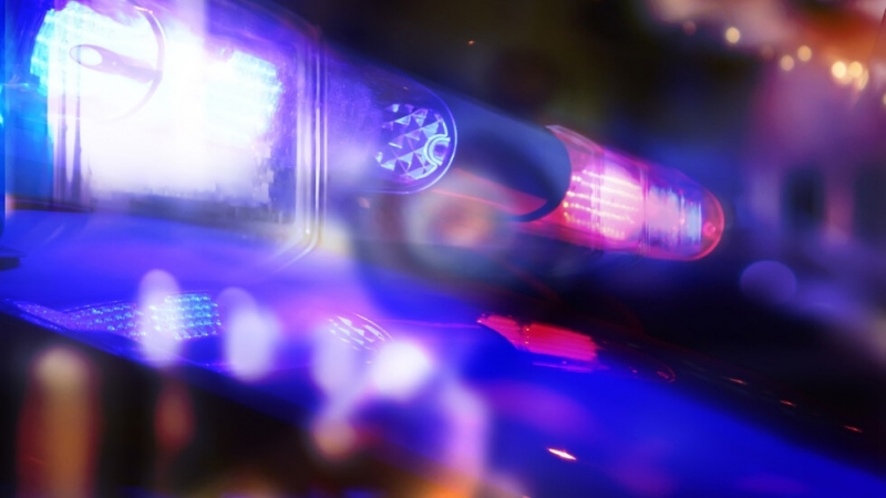 В мащабна полицейска акция в Сърбия са задържани 9 членове