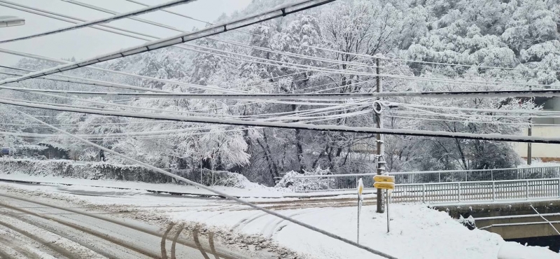 Част от Монтанска област остана без ток научи BulNews Причина