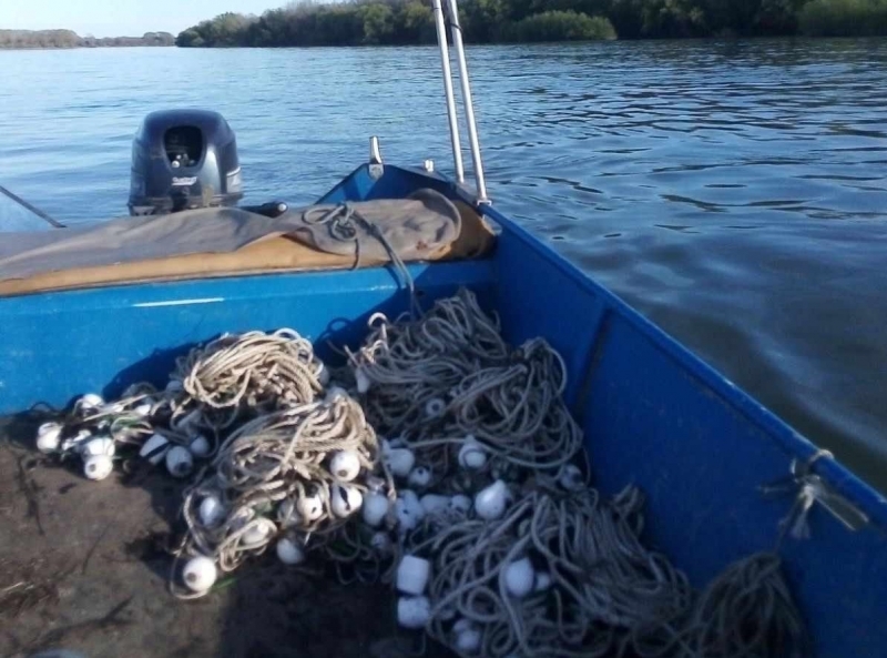 ИАРА извади забранени риболовни уреди от река Дунав край Козлодуй Служители