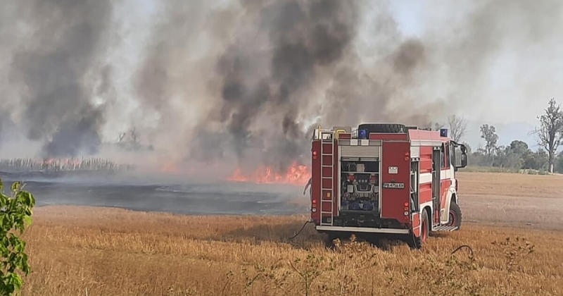 Голям пожар задимява Подбалканския път съобщава МВР Сигналът за инцидента е
