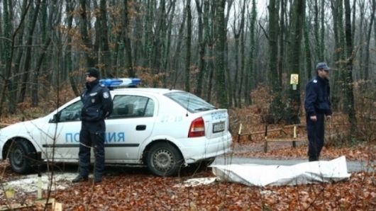 Тяло на мъж с изядени долни крайници е открит от