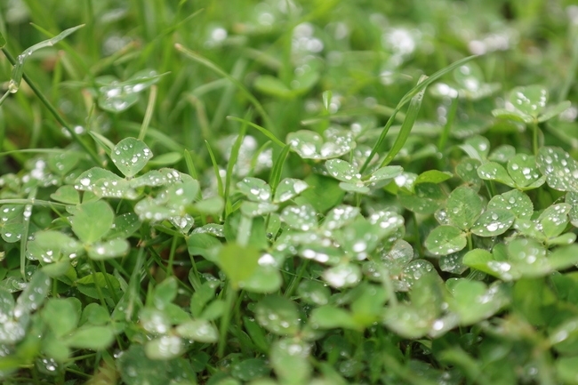 Днес облачността ще остане разкъсана около и след обяд