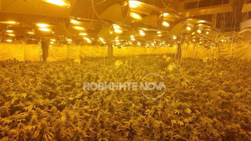 Марихуана за над 1 млн лева беше заловена в София пише NOVA Тази сутрин