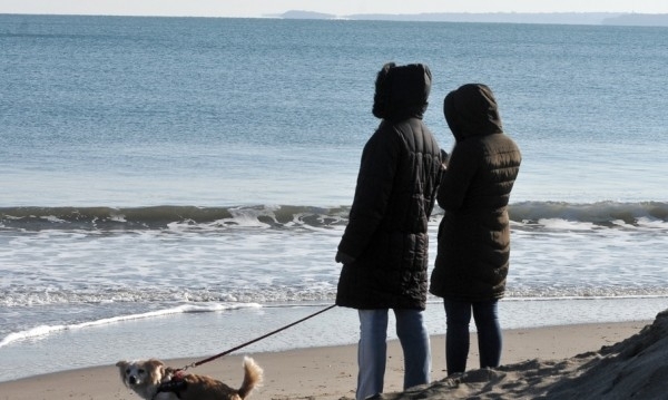 Слънчево и сравнително топло за края на декември ще бъде