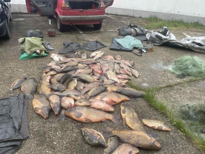 350 кг риба е извадил известният монтански бракониер Видрата от