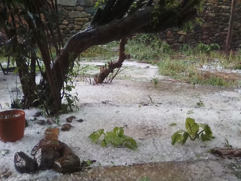 Градушка помля няколко монтански села днес научи BulNews bg Пороят придружен