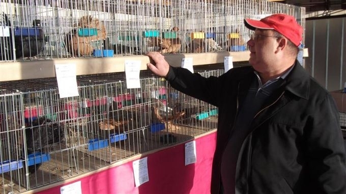 Днес във Видин ще бъде открита Осмата изложба на декоративни