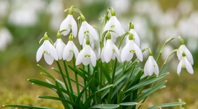 През нощта ще преобладава ясно и почти тихо време В