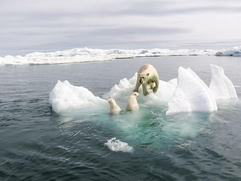 Температурите в Арктическия кръг вероятно са ударили рекорд за всички времена в