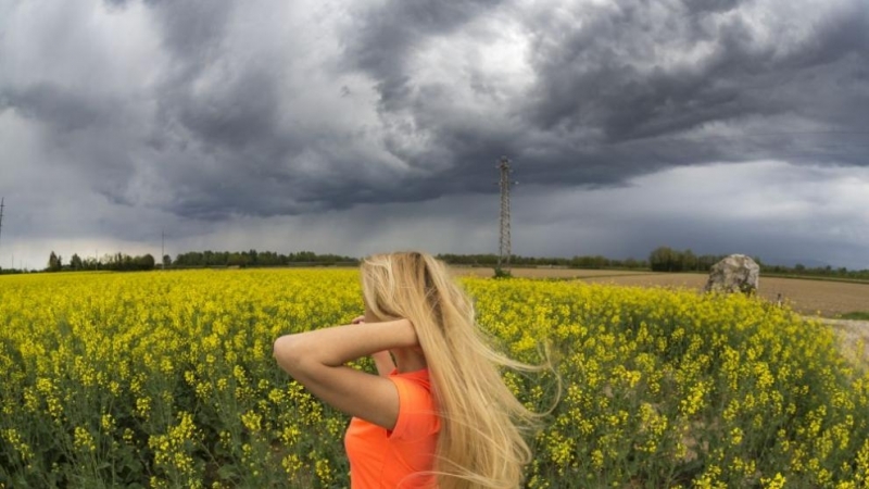 В понеделник преди обяд ще е предимно слънчево След обяд