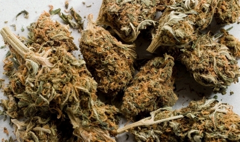 Вчера след получен в полицията сигнал за държане на наркотични