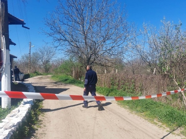 Умъртвиха петте кучета, разкъсали жена в Долна Оряховица