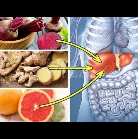 Най горещият орган в тялото ни е черният дроб Той работи като