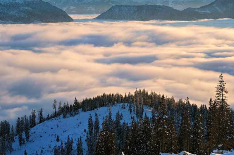 Днес над по голямата част от страната ще преобладава слънчево време