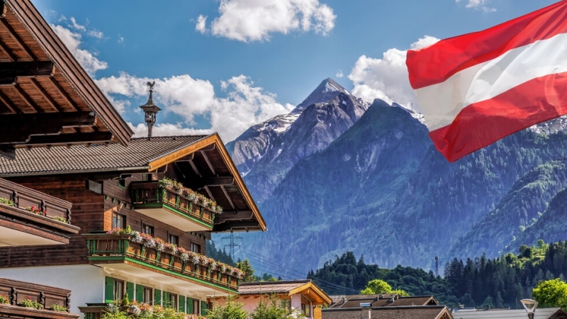 Австрийският президент Александър Ван дер Белен е получил леко мозъчно сътресение в