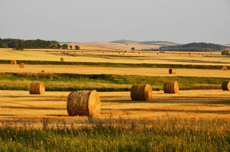 Близо 1700 е броят на земеделските парцели които се продават