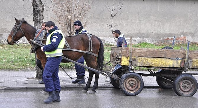 Двама откраднаха коня и каруцата на мъж в Краводер научи