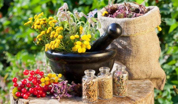 Днес Православната църква почита рождество на Йоан Кръстител В народните