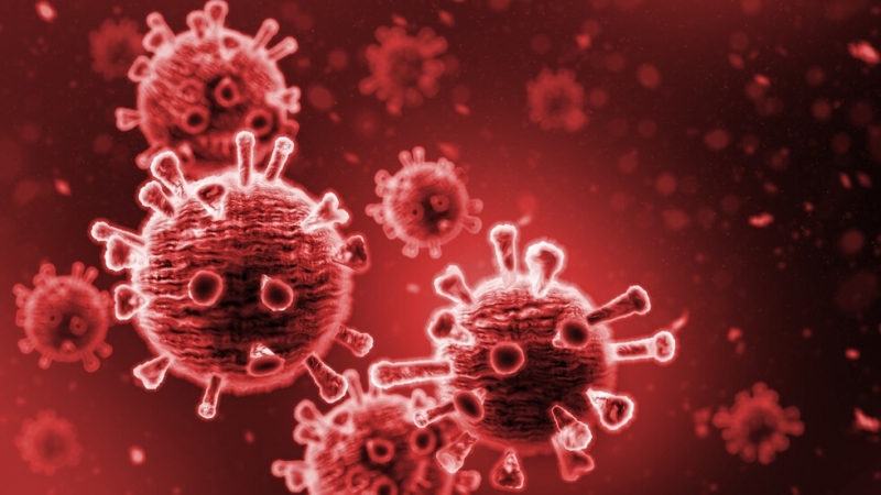 Нов вариант на коронавируса беше открит във френския район Бретан.Френското