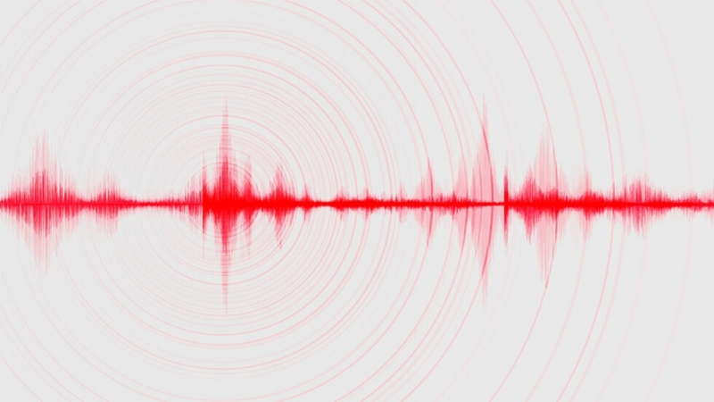 Земетресение с магнитуд 4 6 по Рихтер е регистрирано в Хърватия