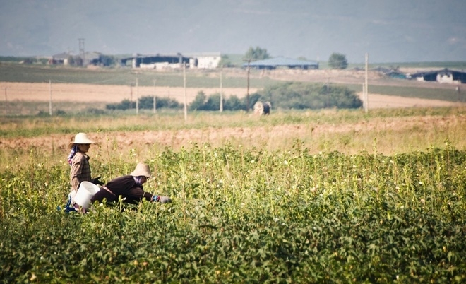 Със затоплянето на времето се активизира земеделският сезон поради което