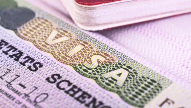 България ще има достъп до Единния портал за издаване на