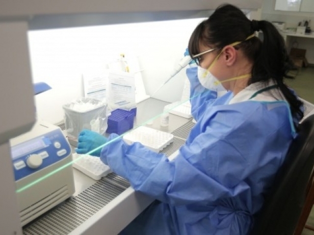 40 са случаите на COVID 19 в област Видин съобщиха от