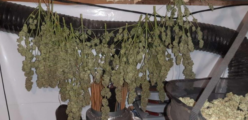 Полицейски служители са намерили канабис в необитаема вила в Монтанско