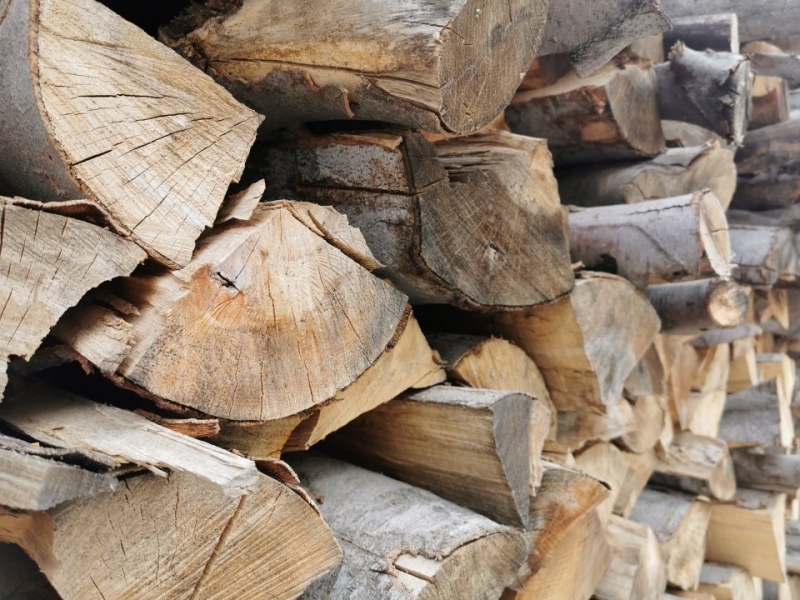 Полицаи откриха незаконни дърва в два имота в Монтанско съобщиха