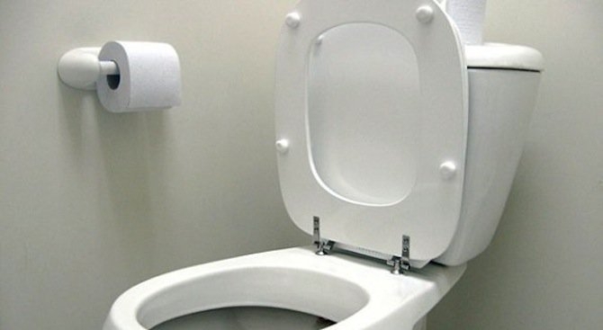 Странно и подобно на змия същество бе заснето да изпълзява