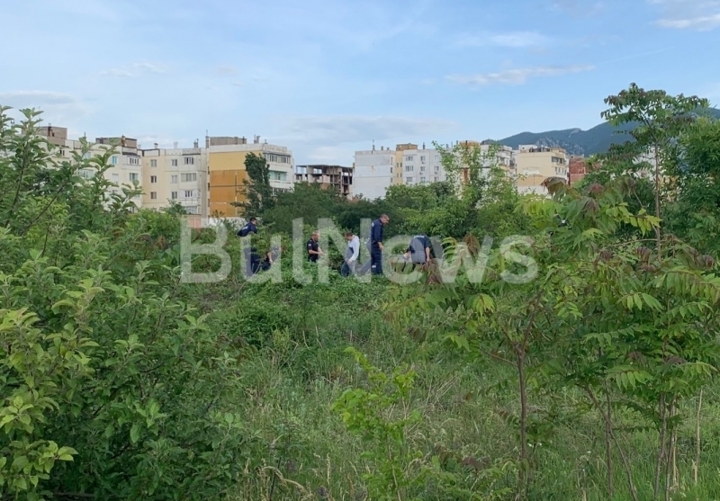 От областната дирекция на МВР във Враца потвърдиха новината на