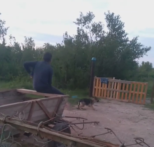 Жестокост: Циганин от Враца подпали мрежата с брутално насилие над куче ...