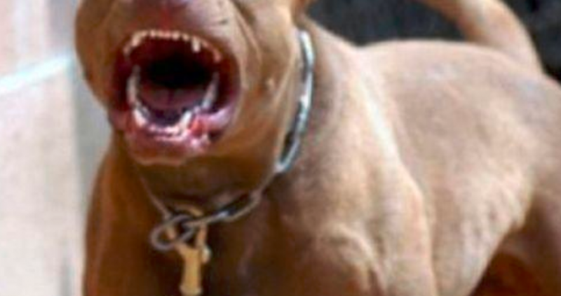 Прокуратурата разследва тежък инцидент Мъж е бил нападнат и убит