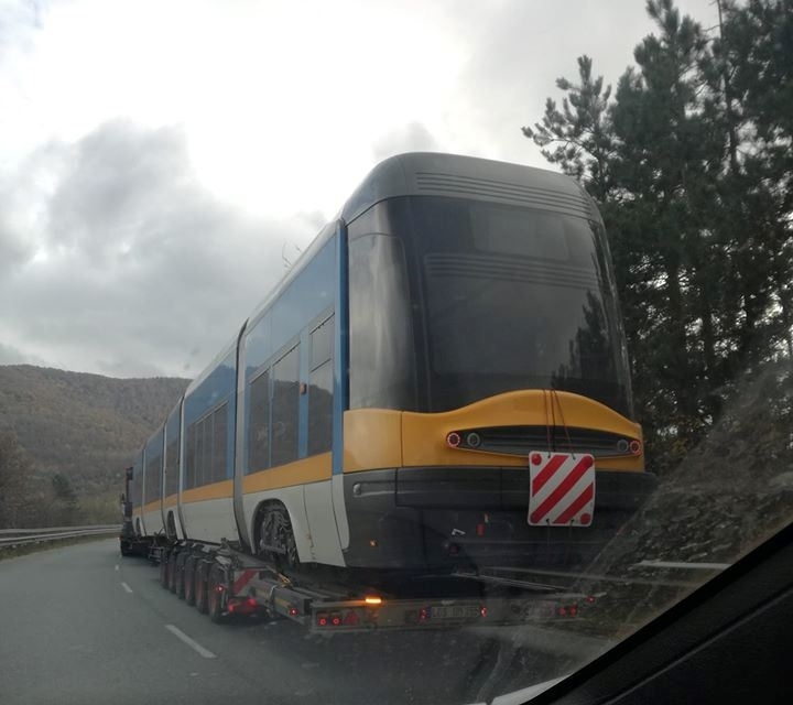 На неочаквана гледка са попаднали шофьорите по пътя от Видин