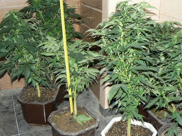 Полицаи са претърсили къща във врачанското село Нивянин съобщиха от