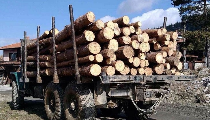 Хванаха бракониер с незаконни дърва в Монтанско