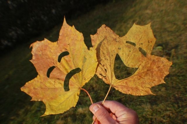 Синоптиците предупреждават че през уикенда времето ще застудее но и