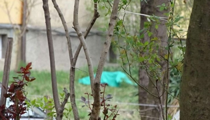 Мъж е паднал от прозорец на болницата във Видин и