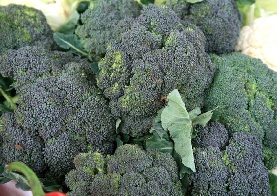 Възрастен мъж откри жива змия в опаковани броколи закупени от