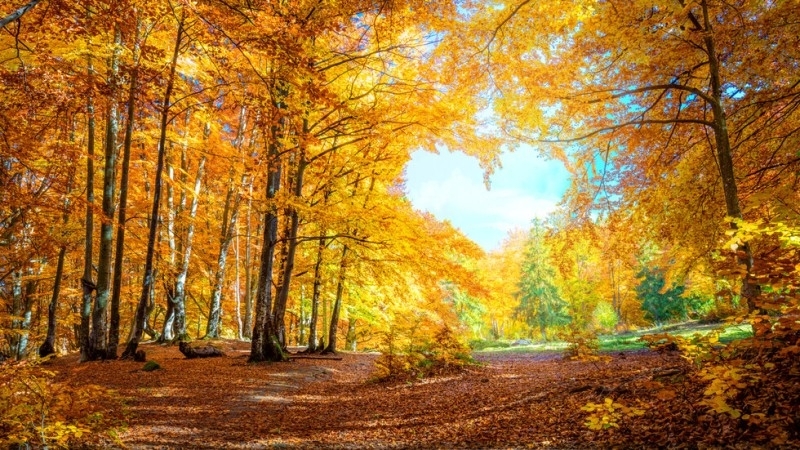 През нощта ще бъде предимно ясно но в равнините и