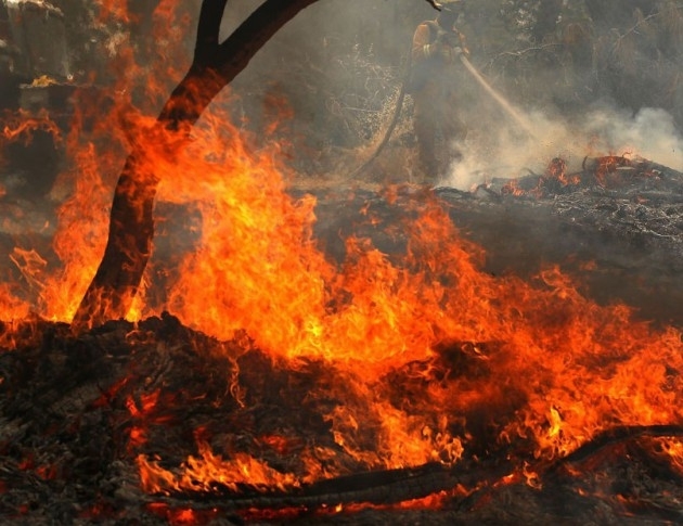 Югозападното държавно горско предприятие започва проверки преди активния пожароопасен сезон