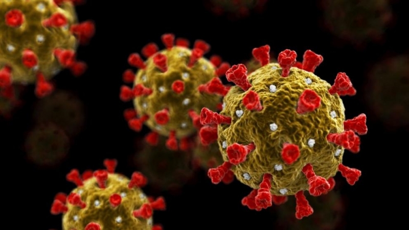 Британският щам на коронавируса е по заразен нито причинява по тежко протичане