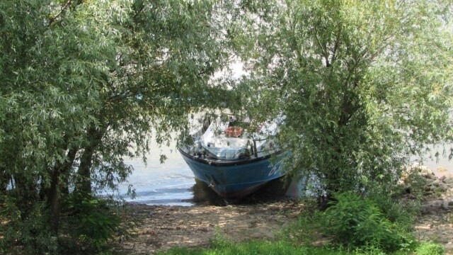 Тяло на жена изплува от Дунава край Русе