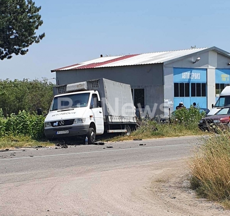 Шест крави са загинали при тежката катастрофа във видинското село